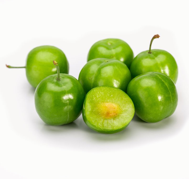 نهال گوجه سبز شهریار